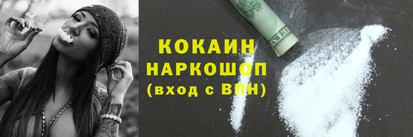 молекула духа Покров