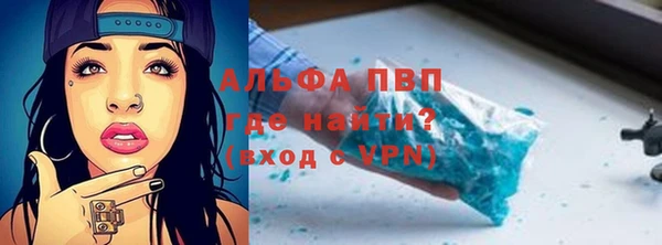 стафф Покачи