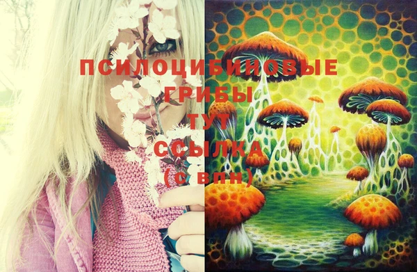 дурь Абинск