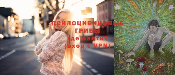 стафф Покачи