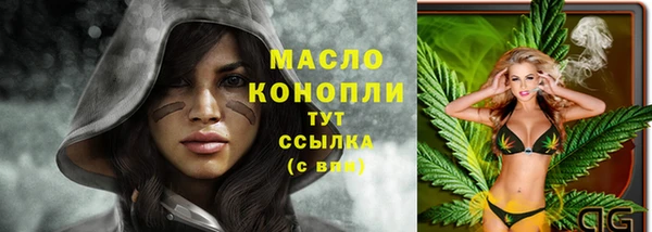 молекула духа Покров