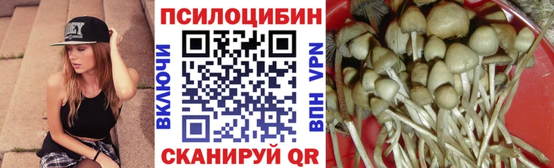 Псилоцибиновые грибы Magic Shrooms  закладка  Азнакаево 