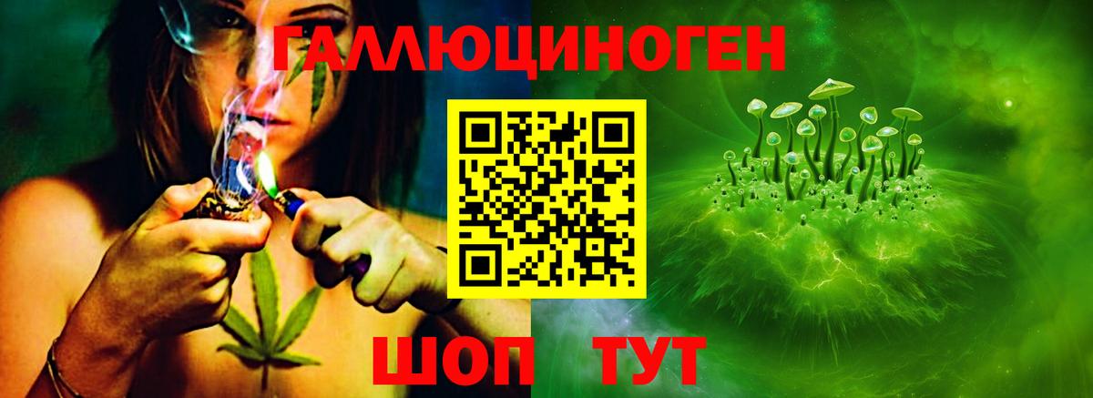 Галлюциногенные грибы Cubensis Азнакаево